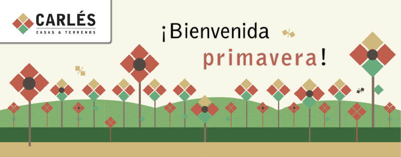 Carles diseño de flyer